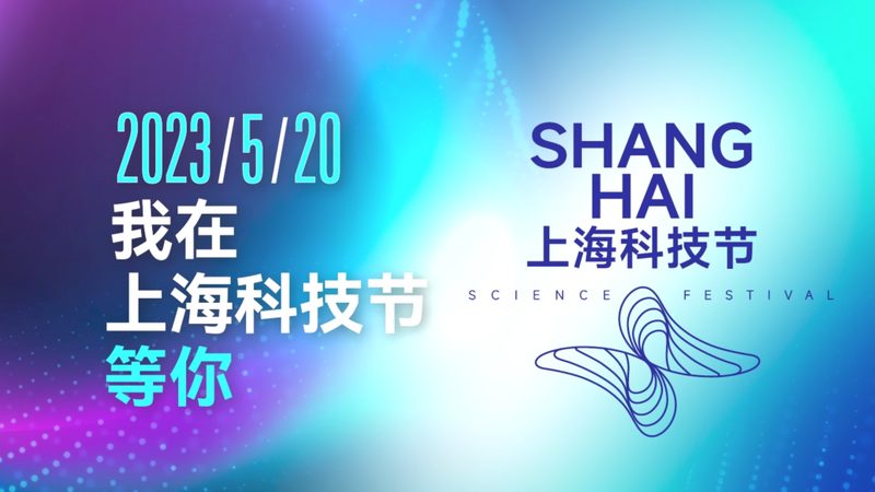 企业数字化转型：方案与实施的差异化解析**